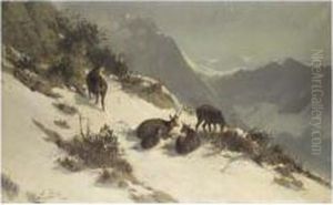 Chamois Grazing In The Snow by Arthur Thiele