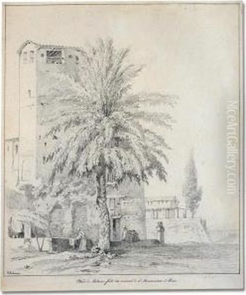 Study Of A Palm Tree In The Convent Of S. Bonaventura, Rome - view 1
