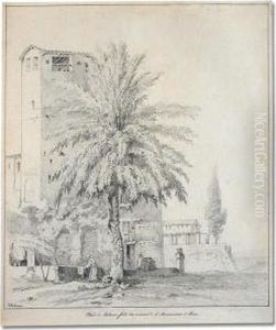 Study Of A Palm Tree In The Convent Of S. Bonaventura, Rome by Claude I Thienon