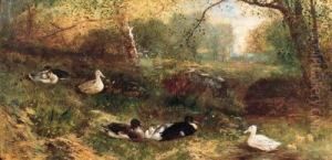 A Duck With Her Ducklings