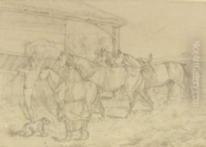 Equestrian Study