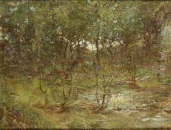 A Woodland Stream - view 1