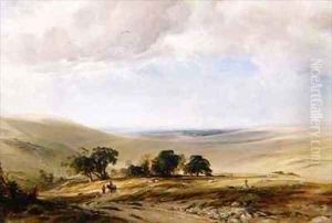 The South Downs