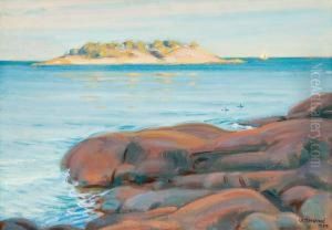 View From Archipelago by Verner Thome