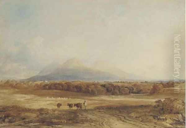 Droving cattle - view 1
