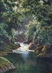 A Waterfall In A Woodland River A Waterfall In A Woodland River