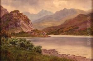 Lakeland Scene