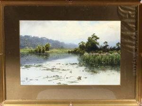 Waterlily Bay, Rydal Water - view 1