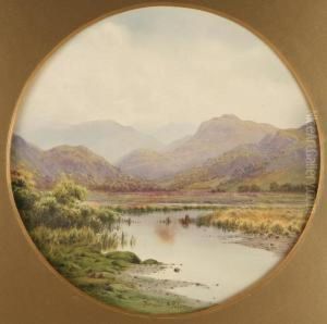 Donald A Paton A Lakeland Tarn