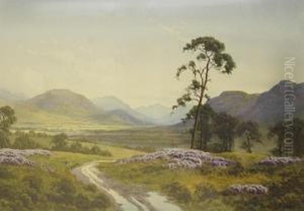 'the Grampians (from Near Boat Ofgarten) - view 1