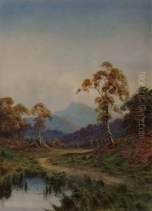 Early Autumn - The Trossaches Near Loch Katrine