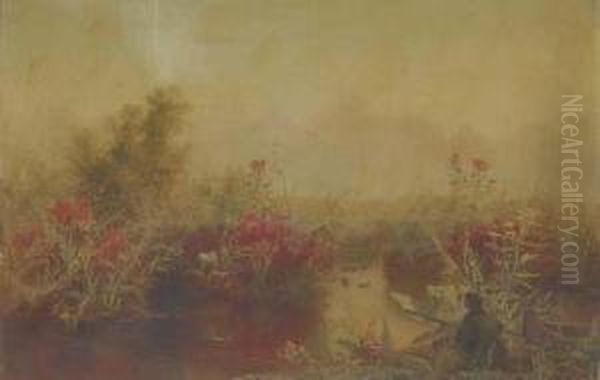 Duck Hunting - view 1