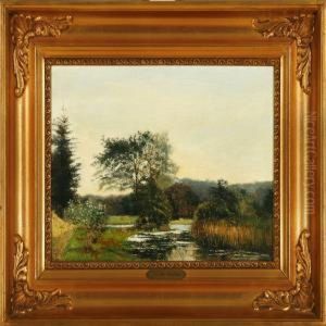Overlooking A Moor