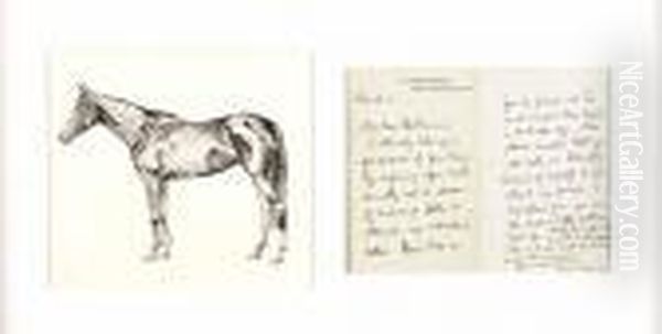 Horse Study - view 1
