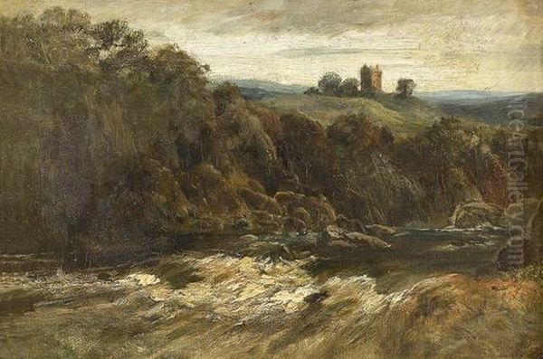 Wilde Flusspartie Mit Burg. - view 1