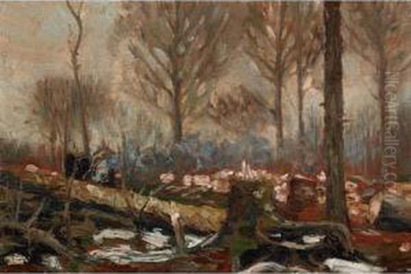 Fallen Timber - view 1