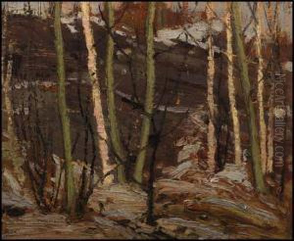 Poplar Point, Rock, Sun - view 1