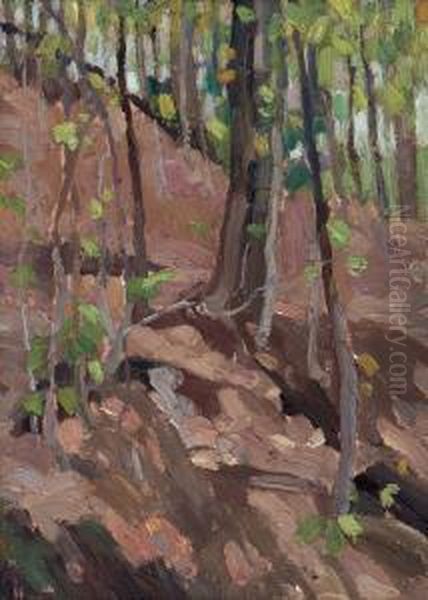 Green Wood, Algonquin Park - view 1