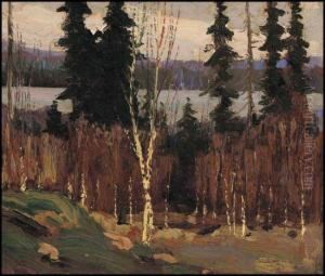 South Shore Of Canoe Lake, Algonquin Park by Tom Thomson