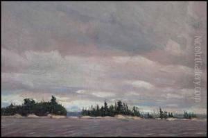 Sketch For Grey Day In The North by Tom Thomson