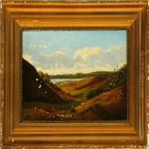 A View Over A Hilly Heather Landscape