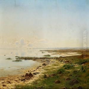 Coastal Scene