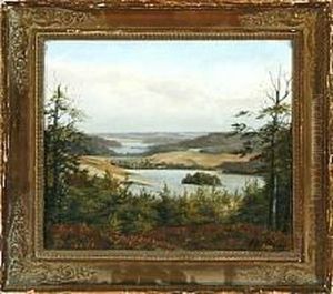 A Danish Landscape Scenery From The Silkeborg Lakes