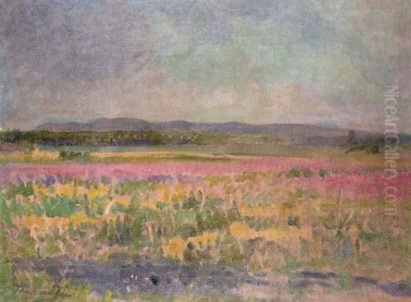 Nyari Delutan - view 1