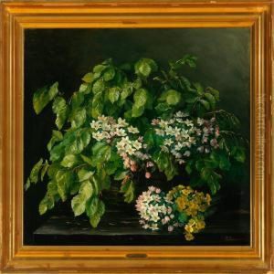 Still Life With Fresh Beech Branches, Anemones And Winter Aconites