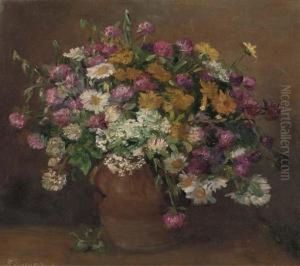 Daisies