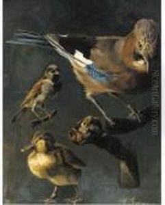 A Jay, Sparrow And Duckling by Emmy Marie Caroline Thornam