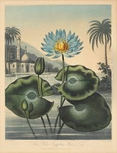 Four Plates, From The Temple Of Flora