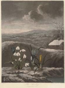 The Snowdrop; And Thou Divine Linnaeus, By W.ward And T.burke The Snowdrop; And Thou Divine Linnaeus, By W.ward And T.burke