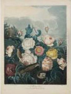 Temple Of Flora: Roses by Robert John, Dr. Thornton