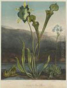 Temple Of Flora: American Bog Plants by Robert John, Dr. Thornton