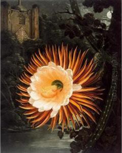 John. [new Illustration Of The 
Sexual System Of Carolus Von Linnaeus... And The Temple Of Flora Or 
Garden Of Nature]. London: For The Publisher, 1799[-1807] by Robert John, Dr. Thornton