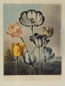 Temple Of Flora by Robert John, Dr. Thornton