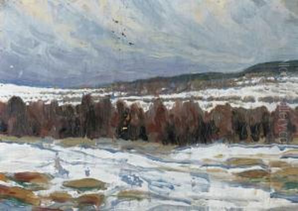 Vinterlandskap - view 1
