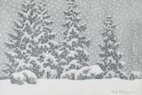 Granskog I Vinterskrud - view 1