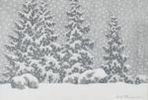 Granskog I Vinterskrud by Olof Thunman