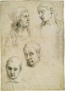 Studi Di Teste