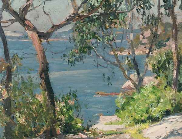Cremorne Point - view 1