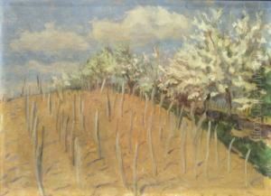 Spring Landscape Spring Landscape