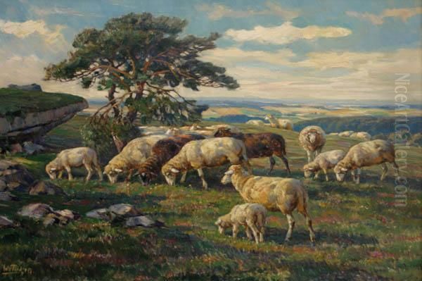 Grazing Sheep - view 1