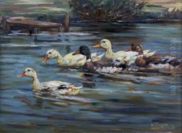 Ducks On Water - view 1