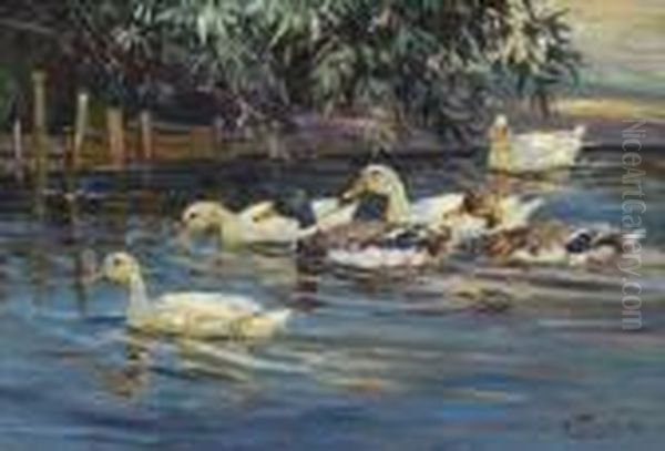 Enten Am Ufer. - view 1