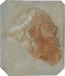 Head Of A Bearded Old Man In Profile To The Right