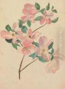 Dogwood Branch by Louis Comfort Tiffany