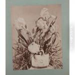 Irises by Louis Comfort Tiffany