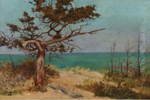 Landscape - view 1